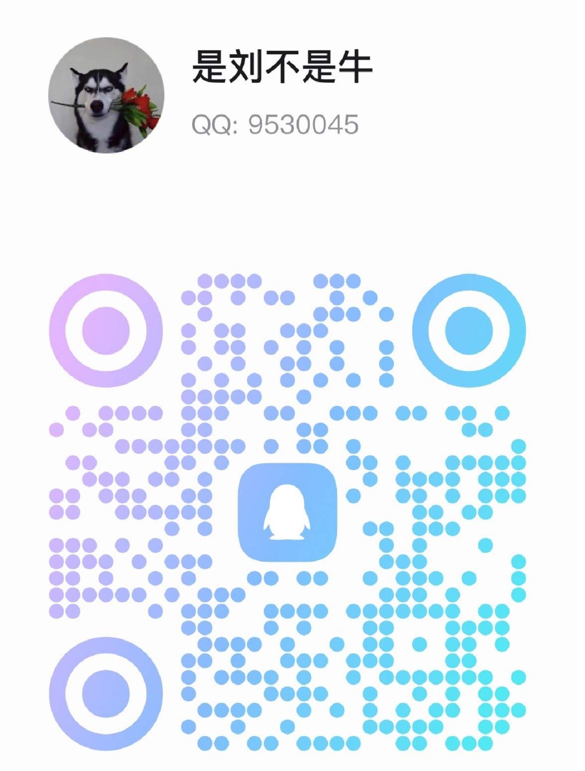 QQ二维码